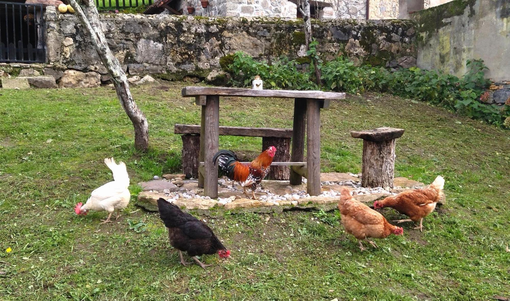 Casa Rural El Cotu En Onís מראה חיצוני תמונה